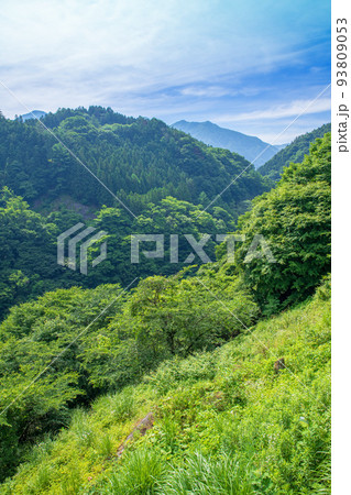 薗原ダム　ダム下の山景色　初夏の風景 93809053