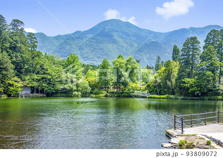 新緑の湯布院金鱗湖 93809072