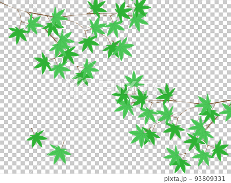 Green autumn leaves left and right branches 93809331