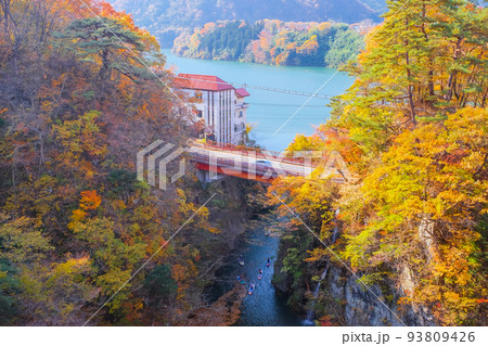 紅葉の駒形峡と赤谷湖 93809426