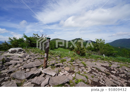 長野県 東御市 湯ノ丸高原 見晴歩道から雲上の丘まで登る。後ろに東篭ノ登山 2022年6月24日 長野県 東御市 湯ノ丸高原 見晴歩道から雲上の丘まで登る。後ろに東篭ノ登山 2022年6月24日 93809432