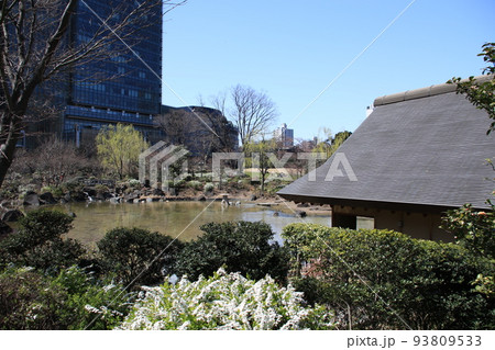 東京都港区赤坂の檜町公園の風景 東京都港区赤坂の檜町公園の風景 93809533