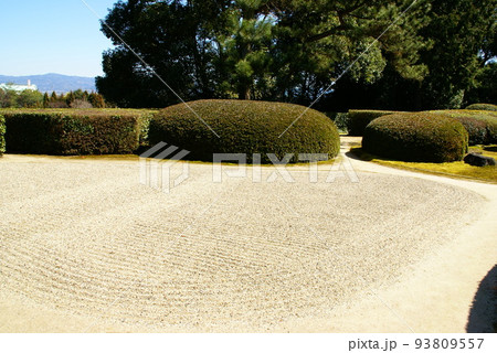 慈光院・庭 93809557