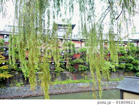 柳と風情ある東海館外観 柳と風情ある東海館外観 93809621