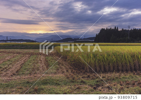 210917上野平z001 210917上野平z001 93809715