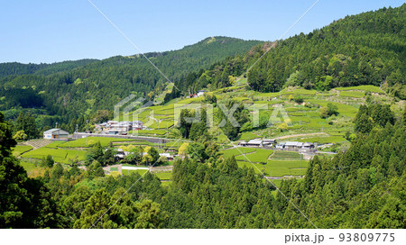 天空の茶畑【静岡県川根本町】 93809775