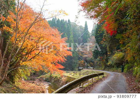 房総ふれあいの道・茂平の滝の紅葉【千葉県市原市】 房総ふれあいの道・茂平の滝の紅葉【千葉県市原市】 93809777