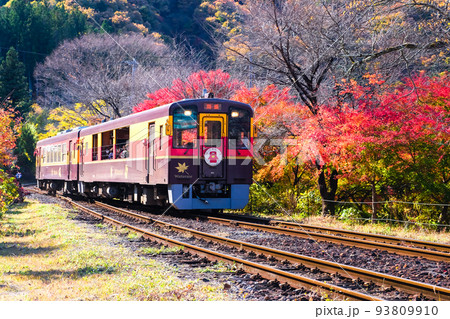 紅葉の中を走るトロッコ列車 紅葉の中を走るトロッコ列車 93809910