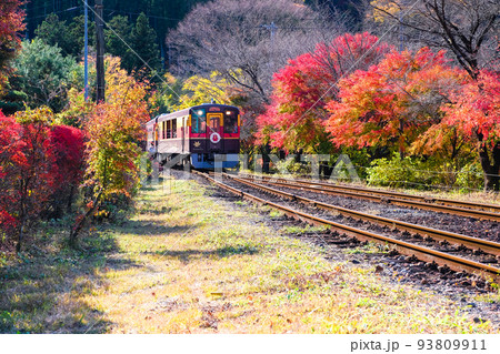秋のトロッコ列車 93809911