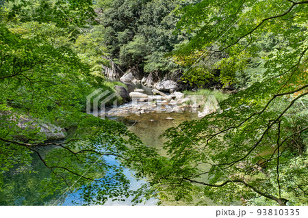 夏の石霞渓（鳥取県日野郡日南町） 93810335