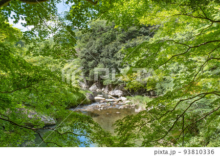 夏の石霞渓（鳥取県日野郡日南町） 93810336