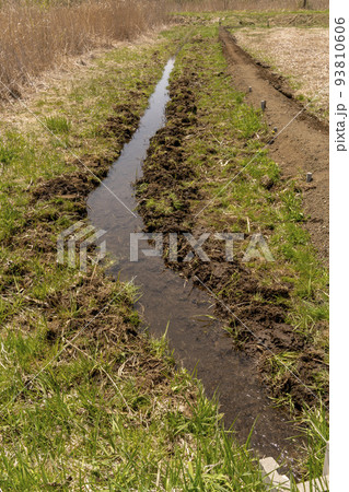 田に水を引くため流れ出した水路の水 田に水を引くため流れ出した水路の水 93810606