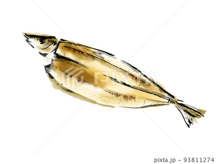 サンマの開きの手描き和風イラスト 93811274