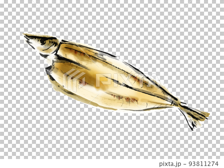 サンマの開きの手描き和風イラスト 93811274
