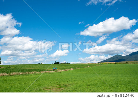 北海道、富良野市の農地と富良野岳の風景 北海道、富良野市の農地と富良野岳の風景 93812440
