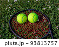 草原に置いたラケットの上に乗っている二個のテニスボール 93813757