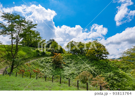 夏の月山富田城跡の千畳平と太鼓壇 夏の月山富田城跡の千畳平と太鼓壇 93813764