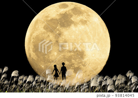 お月見に来たカップルのシルエット。秋の夜のイメージ。中秋の名月とススキと若いカップル。 93814045