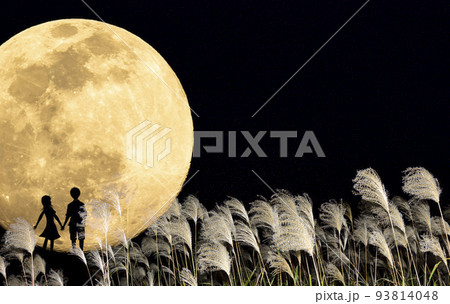 お月見に来たカップルのシルエット。秋の夜のイメージ。中秋の名月とススキと若いカップル。 93814048