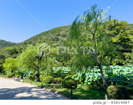 残暑の栗林公園（8月下旬） 93814067