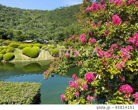 残暑の栗林公園（8月下旬・サルスベリ） 93814101