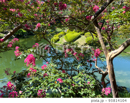 残暑の栗林公園（8月下旬・サルスベリ） 93814104