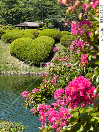 残暑の栗林公園（8月下旬・サルスベリ） 93814114