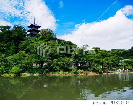 三渓園の夏 93814436