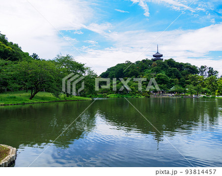 三渓園の夏 93814457