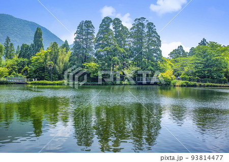 新緑の湯布院金鱗湖 93814477