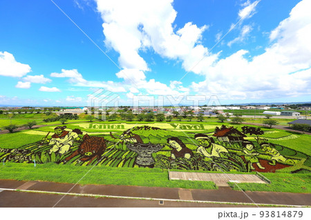 青森県田舎館村の田んぼアート2022年 青森県田舎館村の田んぼアート2022年 93814879