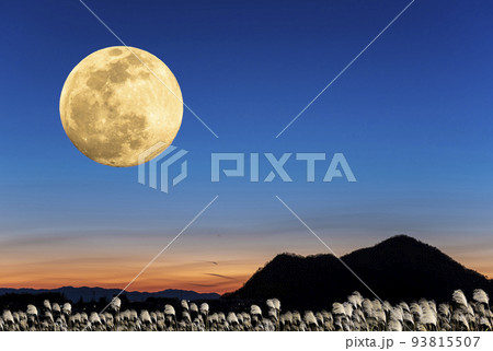 秋のお月見のイメージ。満月とススキと夕焼け。（合成によるイメージ素材） 93815507