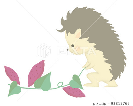 芋ほりをするハリネズミのイラスト　線あり 93815765