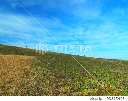 冬の朝の自転車と歩行者専用道路のある除草された江戸川土手風景 93815903