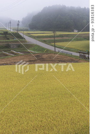 210924上野平z004 210924上野平z004 93816383