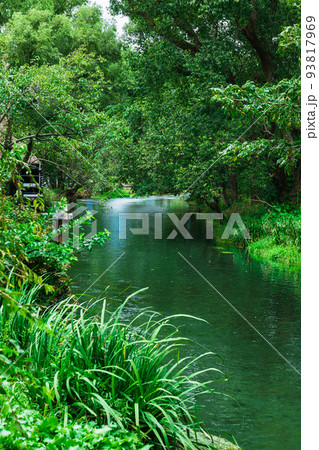 水車が回る川辺の風景　安曇野　大王わさび農場 93817969