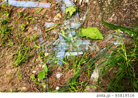Shards of broken glass in green grass 93819516