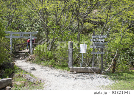 登山日和の茶臼岳の登山道で見られる絶景 93821945
