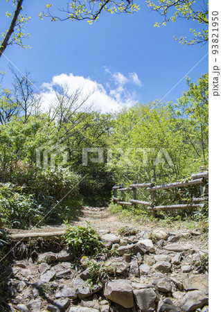 登山日和の茶臼岳の登山道で見られる絶景 93821950