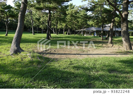 新交通システム　金沢シーサイドライン  横浜市　JR根岸線の新杉田駅～京急本線の金沢八景駅　令和4年 93822248