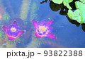 水中に咲く神秘の花　オニバス 93822388