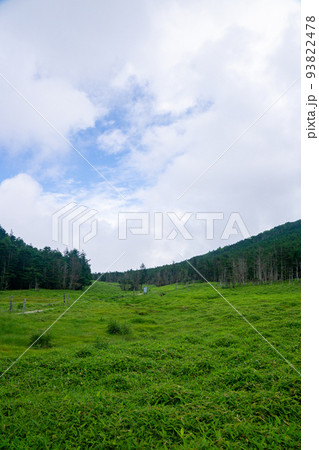 北八ヶ岳の風景(雨池峠付近) 北八ヶ岳の風景(雨池峠付近) 93822478