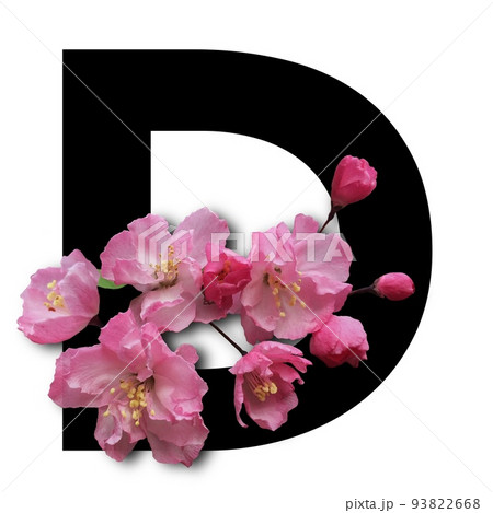花の飾り文字、花の装飾イニシャルレター、ローマ字の飾り文字、大文字の飾り文字、英字の花飾り文字 93822668
