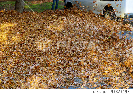 During the autumn, a worker from the municipality cleans fallen leaves near homes During the autumn, a worker from the municipality cleans fallen leaves near homes 93823193