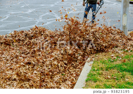 A municipal worker cleans fallen leaves near houses during the autumn season 93823195