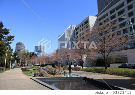東京都港区赤坂の檜町公園の風景 東京都港区赤坂の檜町公園の風景 93823415