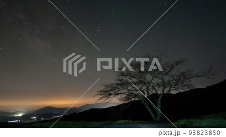 桜の木と天の川 93823850