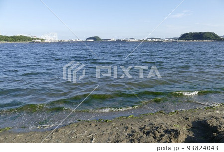 海の公園 横浜市金沢区 海水浴場 潮干狩 左に八景島 右に野島 人工の砂浜 松林 令和4年8月令和 海の公園 横浜市金沢区 海水浴場 潮干狩 左に八景島 右に野島 人工の砂浜 松林 令和4年8月令和 93824043