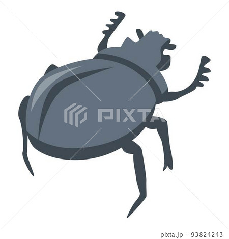 Egypt black bug icon, isometric style Egypt black bug icon, isometric style 93824243