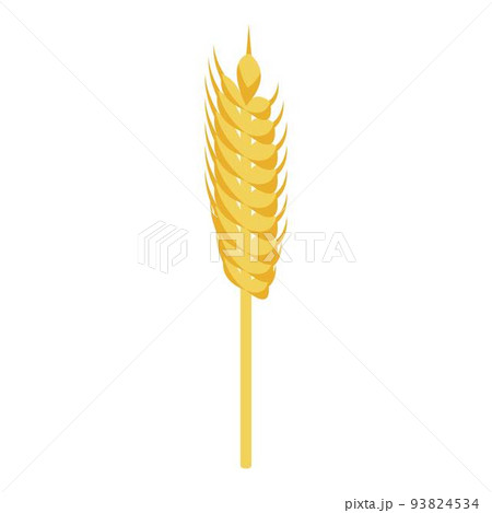 Wheat plant icon, isometric style 93824534